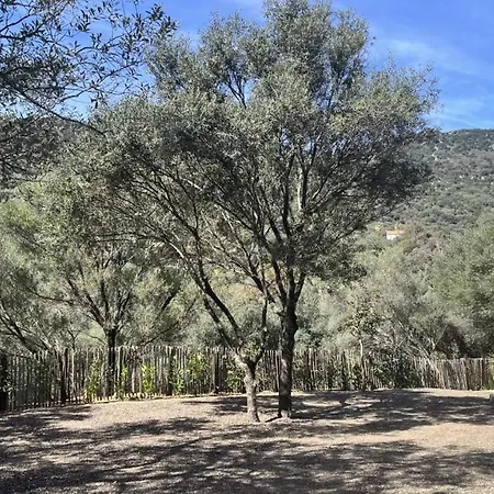 Apartment N7 Maison T2 Climatise Avec Jacuzzi Prive Ajaccio (Corsica)