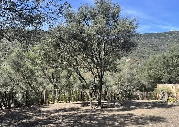 Apartment N7 Maison T2 Climatise Avec Jacuzzi Prive Ajaccio (Corsica)